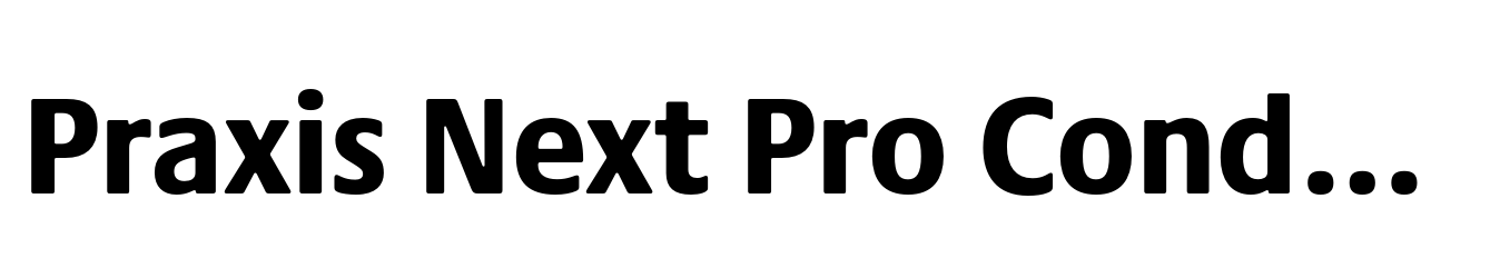 Praxis Next Pro Condensed Heavy
